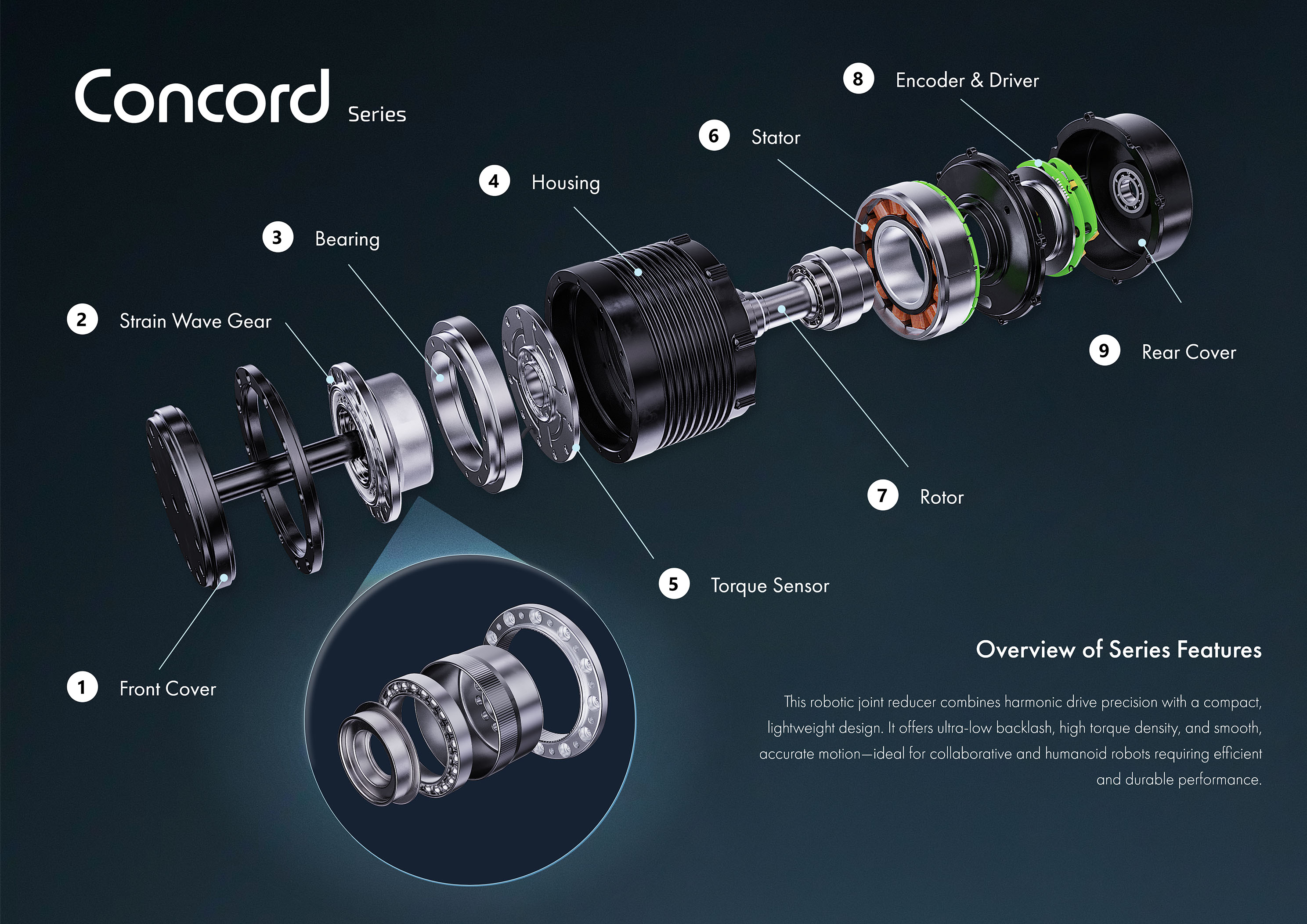 Brochure spread preview 3